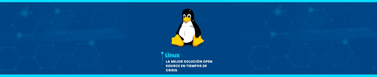 El reciente fallo informático de Windows, afectó a miles de empresas y esto nos demuestra una vez más, la importancia de contar con un servidor que nos ofrezca mayor transparencia, estabilidad y control ante caídas. Por eso,destacamos la importancia de usar sistemas de código abierto como Linux.